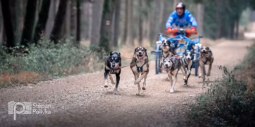 M\u010cR Hradeck\u00fd sprint a Hradeck\u00fd mid 2025