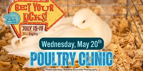 Poultry Clinic