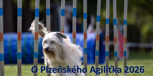 O Plze\u0148sk\u00e9ho Agili\u0165ka 2026