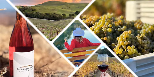 Sip n' Stroll @ Mission Peak Wine — Mission Peak Wine