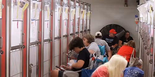 Tales and Tails: A Community Reading Event