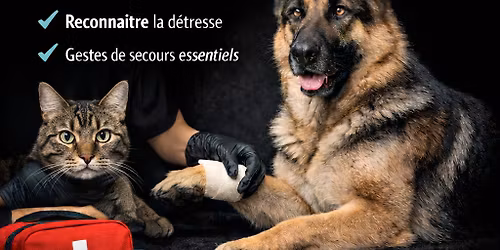 Formation en premiers secours animaliers 