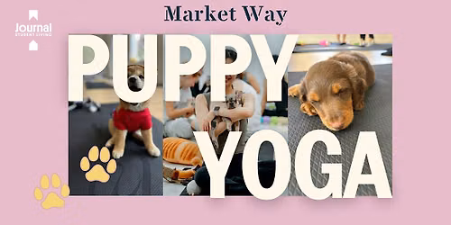 Puppy Yoga at Journal Market Way