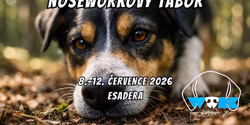 Nosework pro ka\u017ed\u00e9ho psa - NW4ALL t\u00e1bor III.