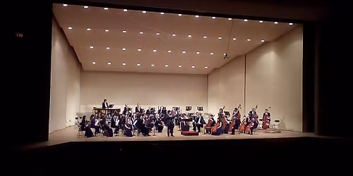 \u7b2c85\u56de\u5b9a\u671f\u6f14\u594f\u4f1a