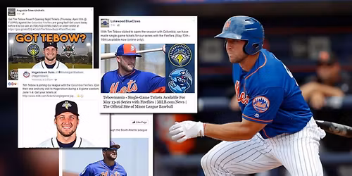 Delmarva Shorebirds at Columbia Fireflies