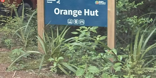 Family Shiny - Akatarawa Forest