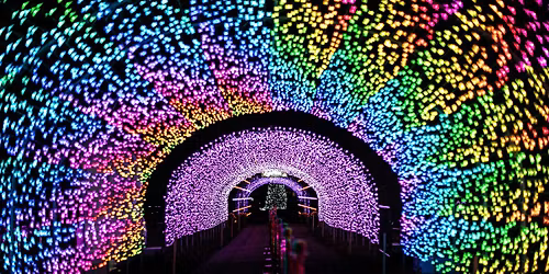 Dog-Friendly Evening at the Warwick Castle Light Trail