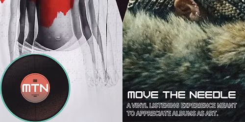 Move The Needle: A Vinyl Listening Experience, Anti Vs Lemonade