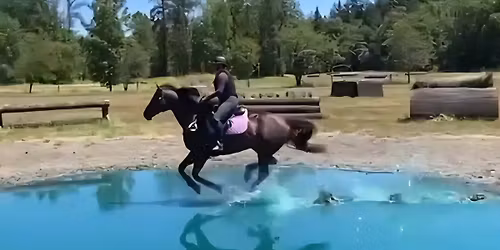End of Summer Extravaganza (Dressage, Jumpers, Combined Test and XC Derby)