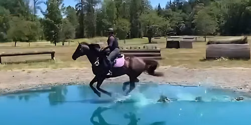 End of Summer Extravaganza (Dressage, Jumpers, Combined Test and XC Derby)