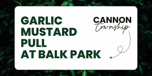 Garlic Mustard Pull at Balk Family Park
