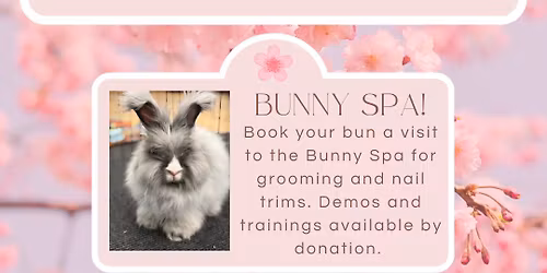 Rabbit Adoption Event