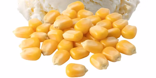 Sweet Cream Corn Ice Cream Making Class