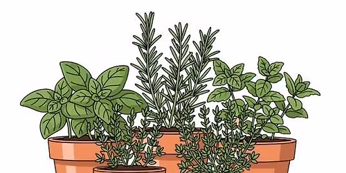 Grow Your Own Herb Garden