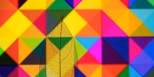 Art CAMP: Color Adventures