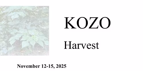 Kozo harvest & Workshop