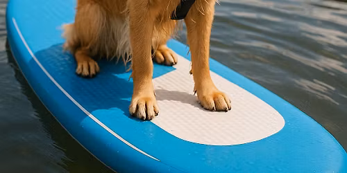 V\u0161ech ps\u016f r\u00e1j na Slapech.......