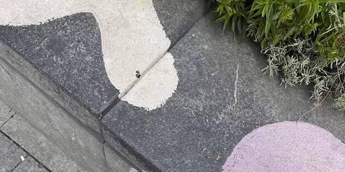 5km Thames river run from our coffee roastery includes x1 free coffee!!