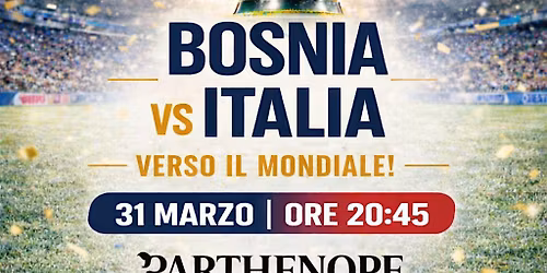 Bosnia Vs Italia