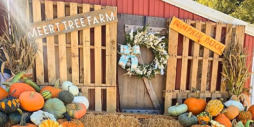 \ud83c\udf83\ud83c\udf42 10th Pumpkin Fall Festival at Meert Tree Farm! \ud83c\udf42\ud83c\udf83