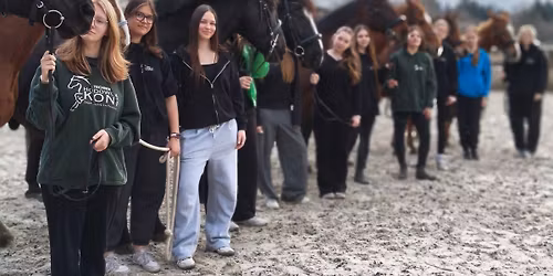 Dzie\u0144 otwarty na profilu Technik Hodowca Koni\ud83d\udc0e