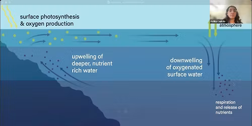 Ashika Con - Saturday (Time: TBD)