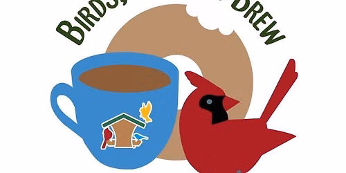 Birds, Bagels, and Brew: Summer Feeding Makes a Difference