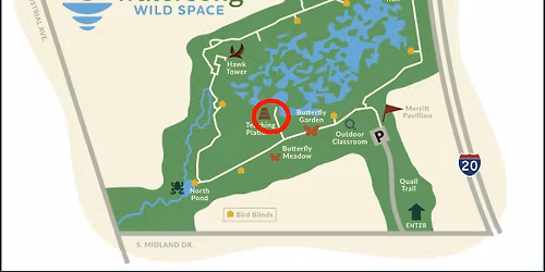 Pilates on the Playa