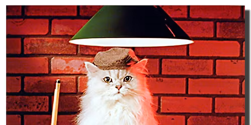 ROBUSTNESS 9 BALL EVENT # 19 