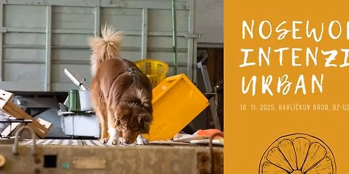 Intenzivka NW-U (Z-2)