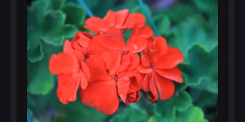 \ud83c\udf32 Holiday party - \ud83d\udc8c RSVP check your email