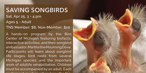 Saving Songbirds