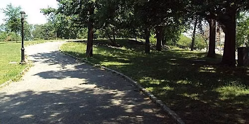 Franz Sigel Park Cleanup