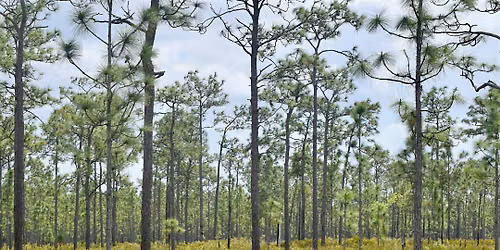 National Public Lands Day Hike