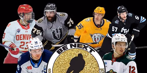 NHL and AHL Player Charity Game