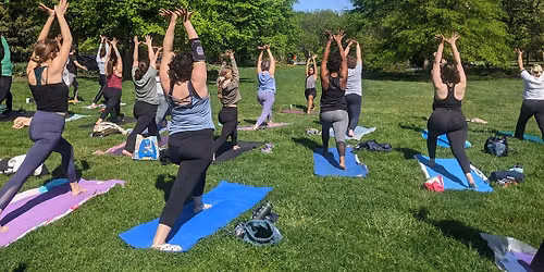 Gentle Yoga in the Park - FREE!!!