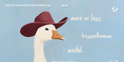More or Less \/ Krissanthemum \/ Meital