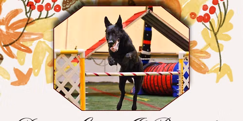 DGI\u2019s November CPE Agility DOUBLE DOWN DAYS Trial