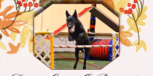 DGI\u2019s November CPE Agility DOUBLE DOWN DAYS Trial