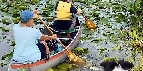 Lake Eustis Shoreline CleanUp