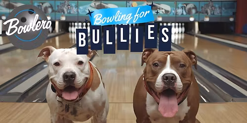 Bowling for Bullies!