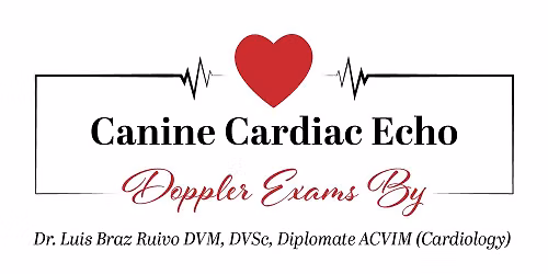 Echocardiogram With Color Flow Doppler Breed Screen Clinic