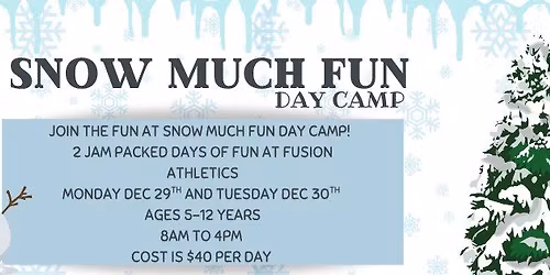 Snow Much Fun Day Camp