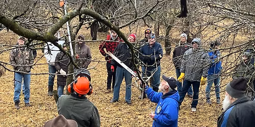 Apple Pruning Class
