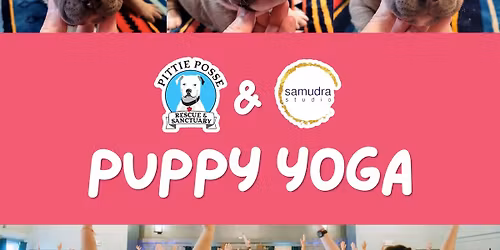 Puppy Yoga @ Samudra, Biddeford