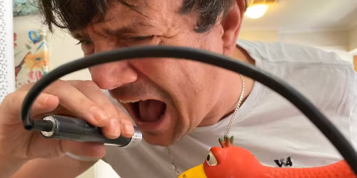 Safe in Sound Festival 2025