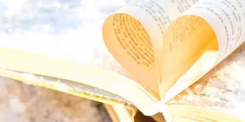 Stories in the Woods