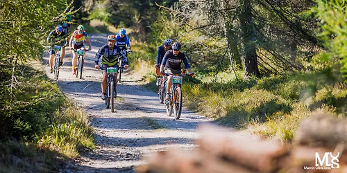 12 Rowerowy Bieg Piast\u00f3w