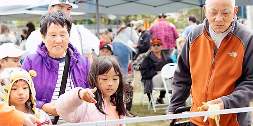 AAPI Families Wonderfest